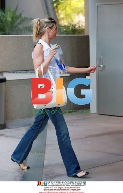 Cameron Diaz Leaves Lawyer's Office