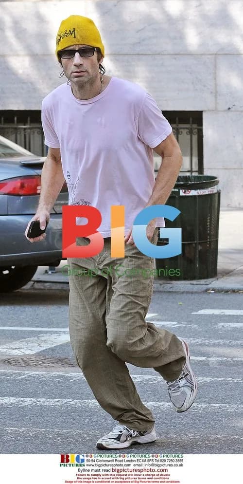David Duchovny out in New York