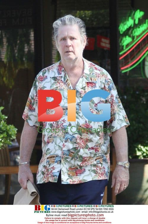 Brian Wilson of The Beach Boys