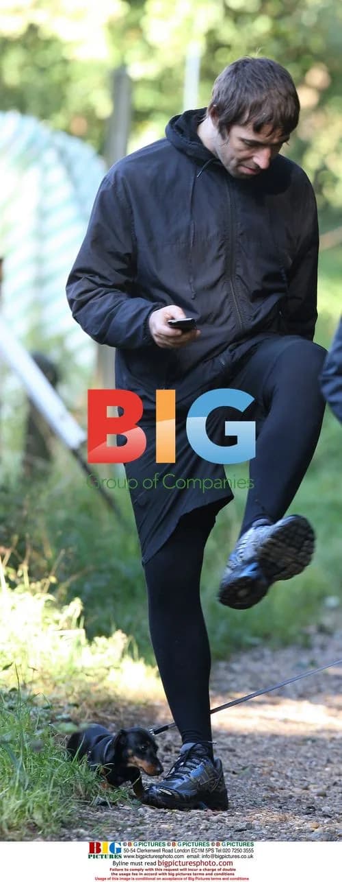Liam Gallagher strolls with friends in the park