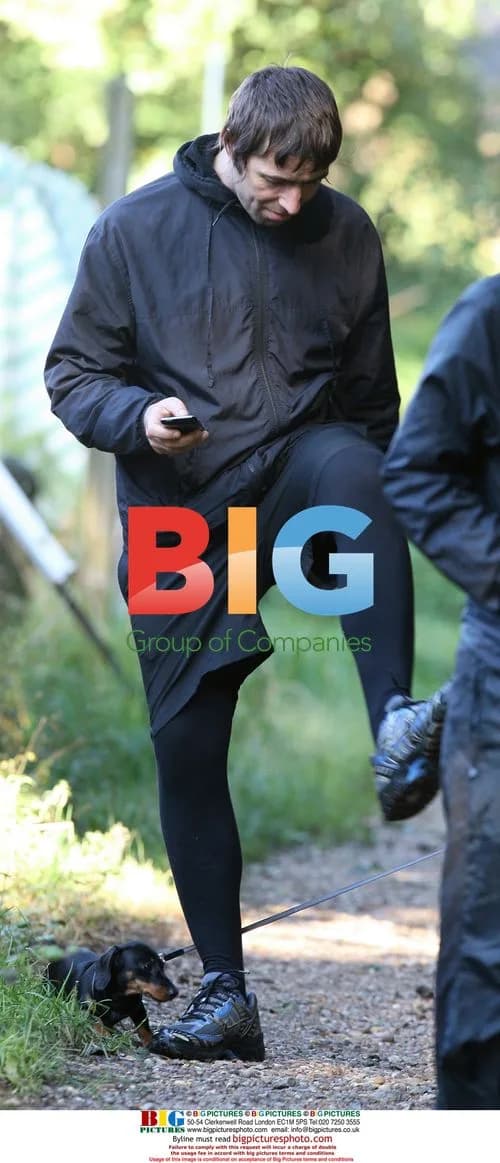 Liam Gallagher and friends go for stroll