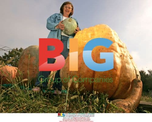 Giant pumpkin grown in Croatia