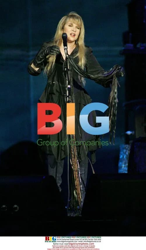 Stevie Nicks performs in Florida