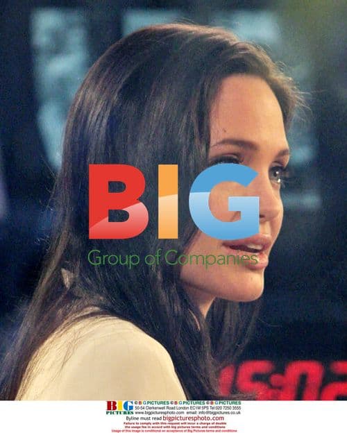 Angelina Jolie on the Today Show