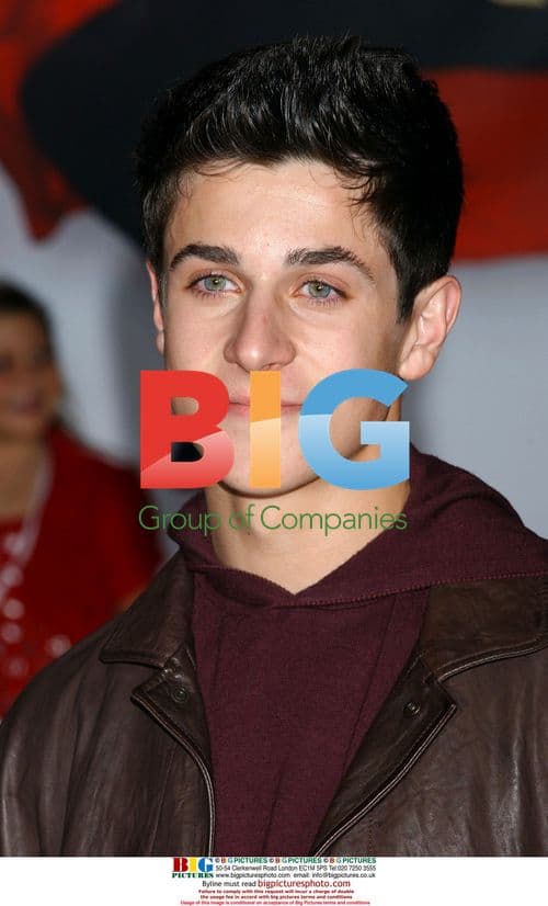 David Henrie at 'High School Musical 3' LA Premiere