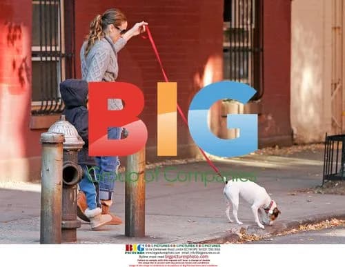 Sarah Jessica Parker and son walk dog