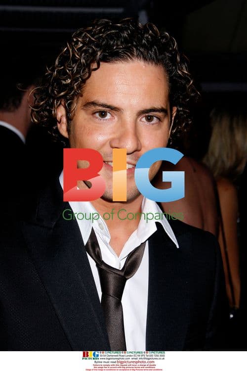 David Bisbal at 2008 Spirit Of Life Award Dinner