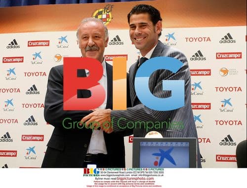 Vicente del Bosque presentation as Spain coach