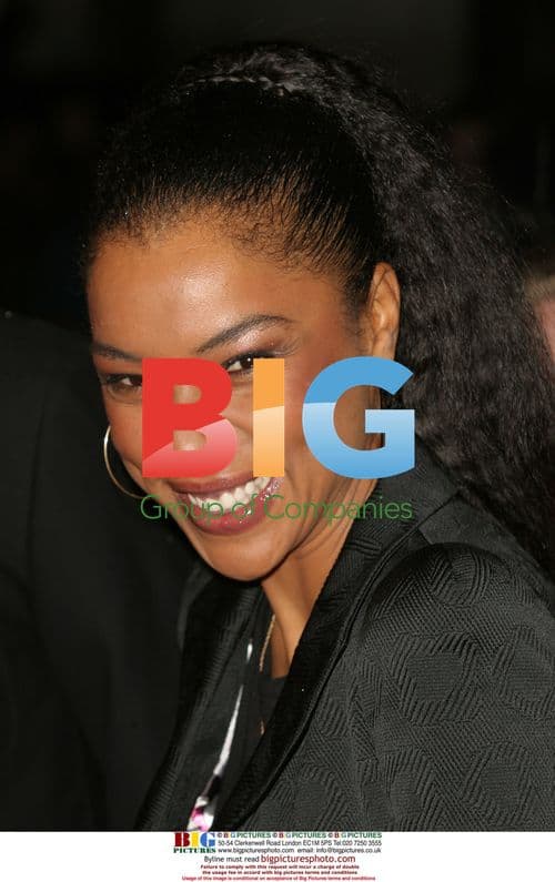 Paul Bettany and Sophie Okonedo at 'Secret Life of Bees' Screening
