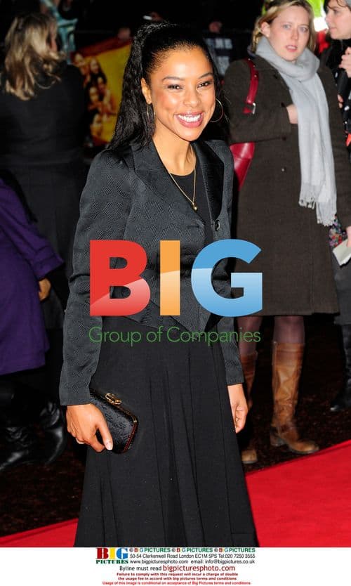 Paul Bettany and Sophie Okonedo at 'Secret Life of Bees' Screening