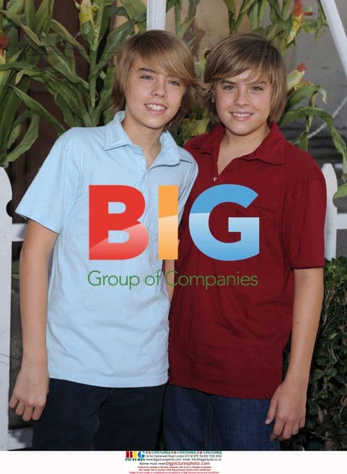 Dylan and Cole Sprouse at Halloween Carnival