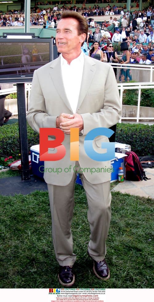 Arnold Schwarzenegger at Breeders Cup