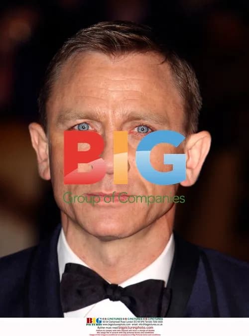 Daniel Craig at Quantum Of Solace premiere