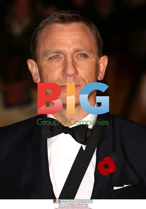 Daniel Craig at 'Quantum Of Solace' Premiere