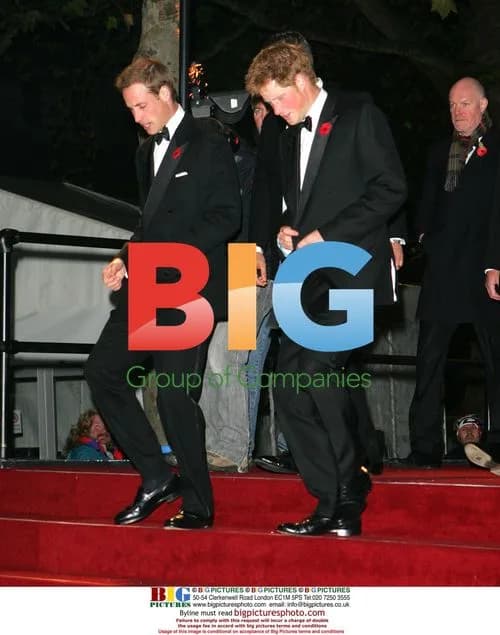 Prince William and Prince Harry at Bond Premiere