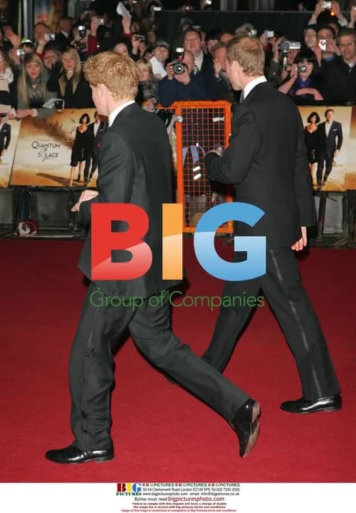 Prince William and Prince Harry at James Bond Premiere