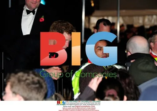 Prince Harry at James Bond 'Quantum Of Solace' Premiere