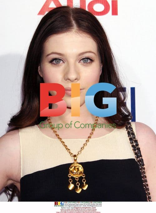 Michelle Trachtenberg at 2008 AFI Fest