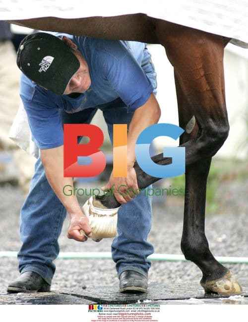 Jockey Prepares for Belmont Stakes