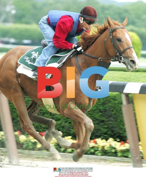 Jockey Edgar Prado Prepares for Belmont Stakes