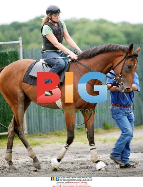 Jockey Edgar Prado Prepares for Belmont Stakes