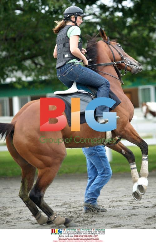 Jockey Edgar Prado Prepares for Belmont Stakes