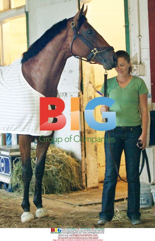 Jockey Prepares for Belmont Stakes