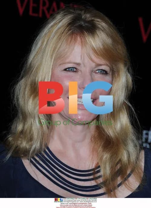 Cheryl Tiegs at 'The Great House' opening