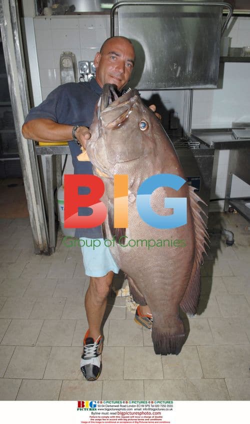 Record 50 kg Groper Catch