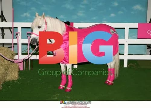 Jordan launches KP Equestrian clothing range