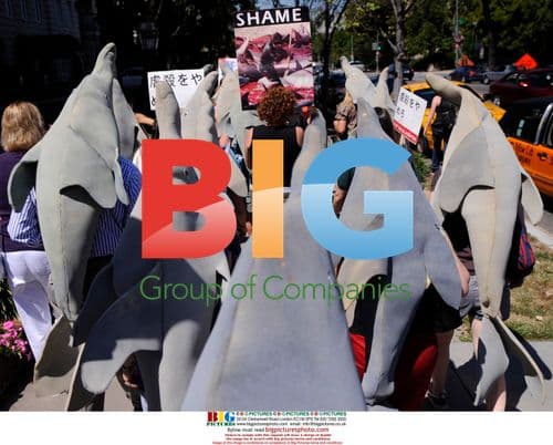 Dolphin Day March and Rally