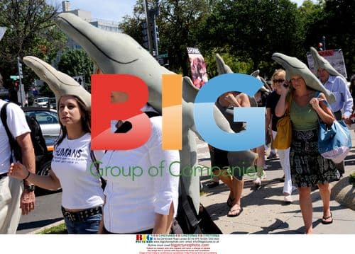 Protest against Japanese dolphin drive fisheries