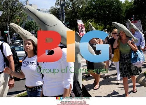 Protest against Japanese dolphin drive fisheries