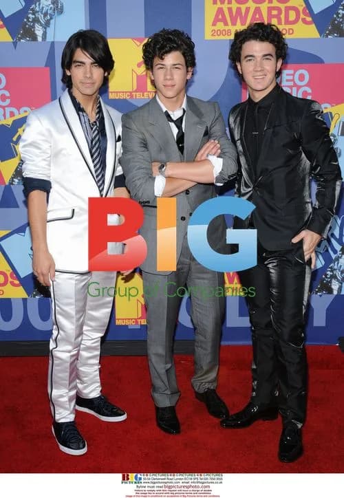 2008 MTV VMA - Jonas Brothers