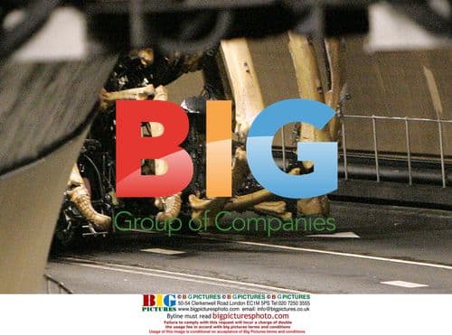 Mechanical Spider 'La Princesse' in Liverpool