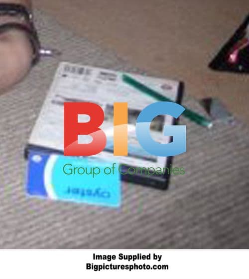 Alice Dellal Parties with Celeb Crowd