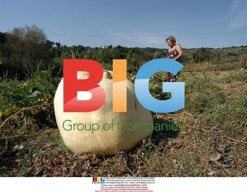Giant 110kg pumpkin grown in Italy