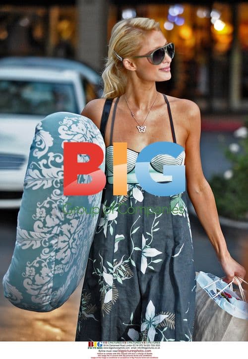 Paris Hilton shops for pet supplies