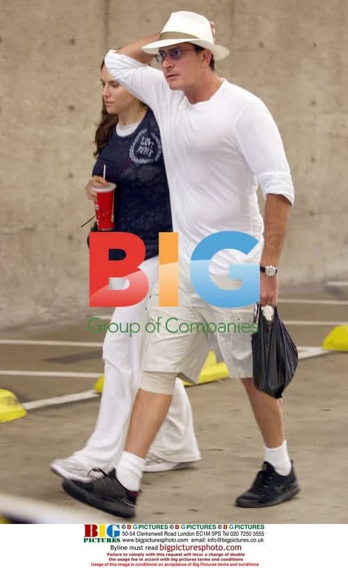 Charlie Sheen and Brooke Pregnant