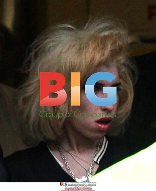Amy Winehouse Leaves Court