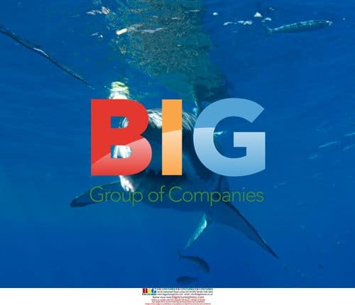 Great White Shark Research in Mexico