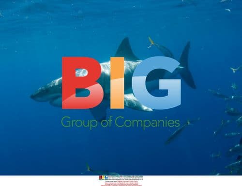 Great White Shark Observed in Behavioral Research