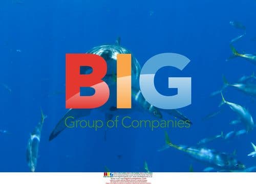 Great White Shark Behavioral Research