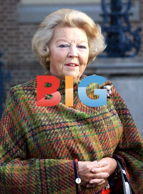 Queen Beatrix Starts Palacerun