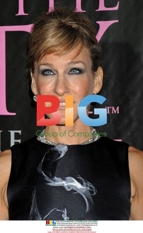 "Sex and the City: The Movie" DVD Launch Party