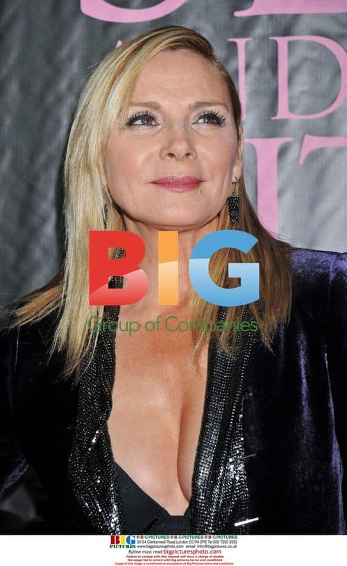 Sex and the City: The Movie DVD Launch Party