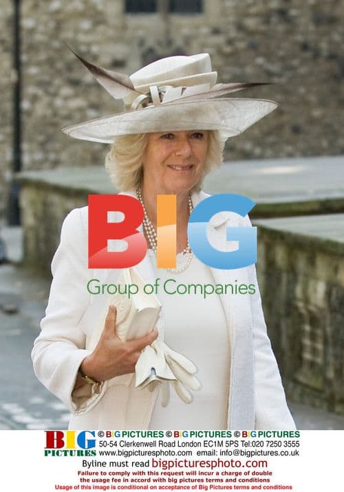 Prince of Wales and Duchess of Cornwall at Battle of Britain Service