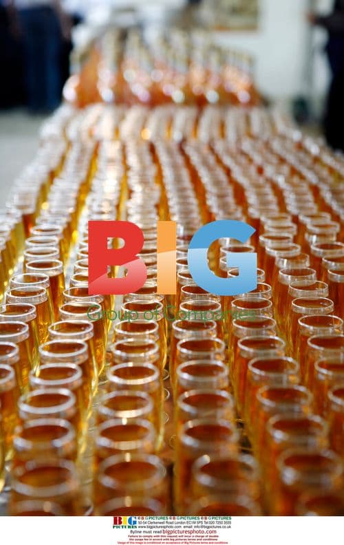People enjoying car-free street in Brussels