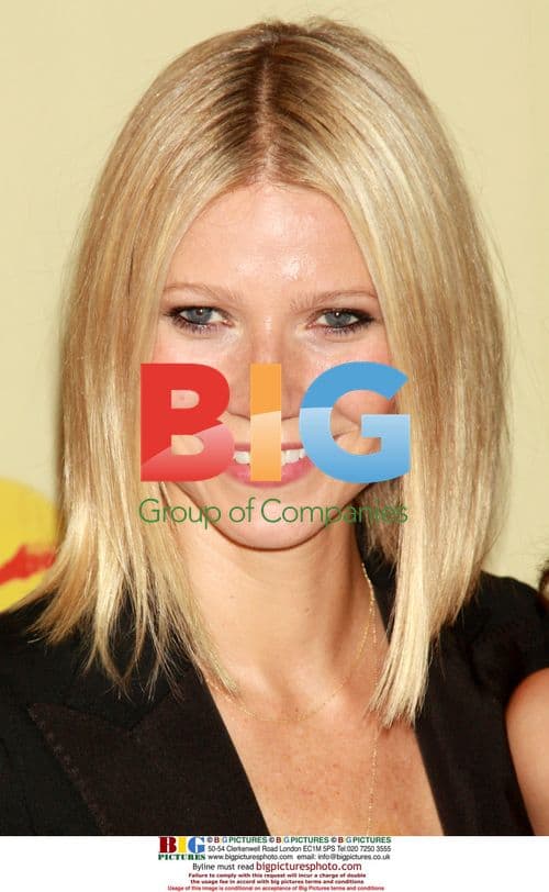 Gwyneth Paltrow at 'Spain...on the Road Again' launch