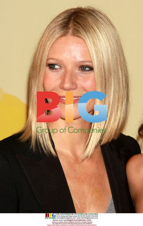 Gwyneth Paltrow at 'Spain...on the Road Again' launch